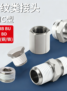 加厚内六角外螺纹铜闷头铁堵头带密封圈BU/BZ/BP/BD-01/02/03/04
