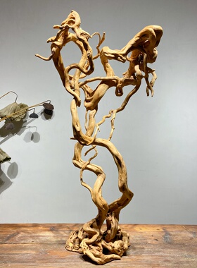 杜鹃树根木雕根雕摆件天然风化木枯木禅意玄关家居客厅挂串树枝