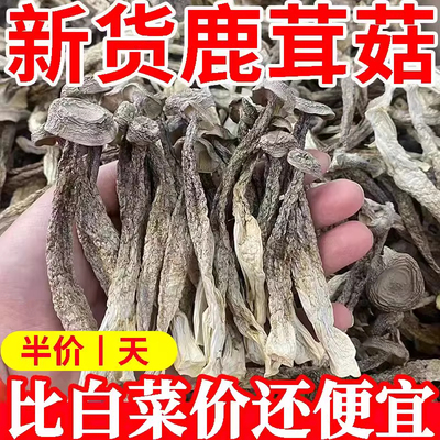鹿茸菇干货500g煲汤云南脆姑菌菇