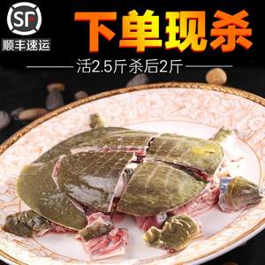 食用甲鱼肉新鲜顺丰滋补食材2斤