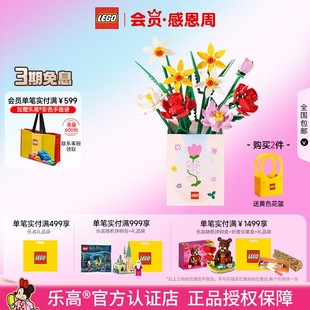 LEGO乐高花植40460/40524/40647/40725/40747玫瑰樱花拼搭积木