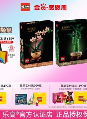 LEGO乐高10343典雅兰10344富贵竹永生花拼搭益智积木礼物