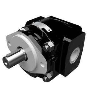 3129320264 PGPE031B205*BIOR25-25*BEG12-1 # Parker齿轮泵