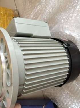 BT50圆盘刹车马达 LIMING MOTOR刀库电机 CM12-4-1100-TJ