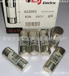 DF 442000 熔断器 工作电流100A、aM、690V、22x58mm、电动机保护