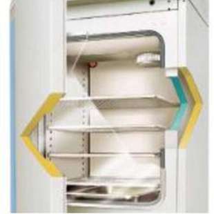 CO2培养箱 311直热式 thermo热电 forma