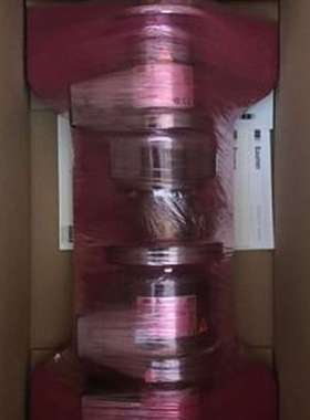 堡盟霍伯纳超速开关编码器HOG10DN1024IFSL德国Baumer-hubner