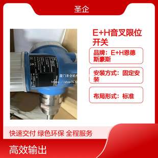 EH恩德斯豪斯 FTL51B 防腐型液体音叉限位开关 FTL62 带延长管