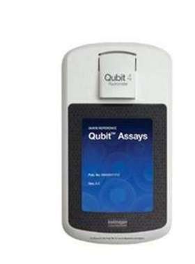 qubit4 qubit4.0 qubit4.0