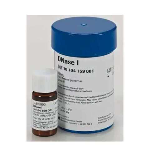 04887352001 LightCycler 480 SYBR Green I Master