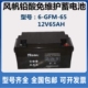 SAIL风帆蓄电池6 65铅酸免维护12V65AH直流屏UPS机房EPS专用 GFM