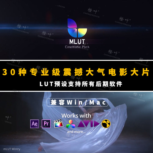 专业级震撼史诗大气电影大片LUTS调色预设PS/PR/AE/FCPX/剪映/LR