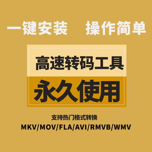工具MKV WMV转MP4视频转格式 MOV AVI 转化器WIN FLV 高速无损转码