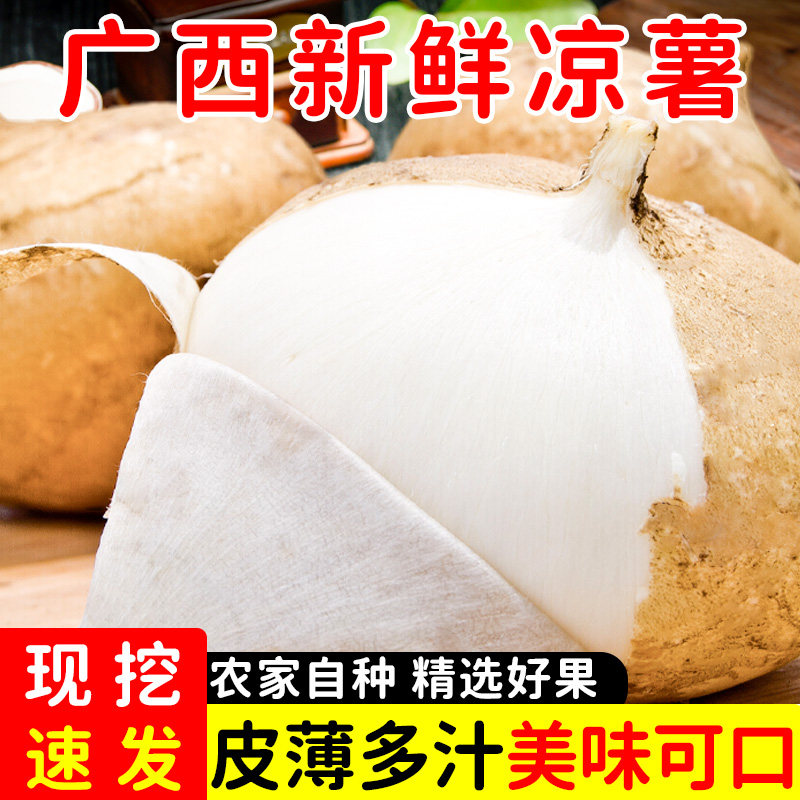 新鲜凉薯白地瓜孕妇水果红土蜜薯山芋蔬菜当季现挖豆薯沙葛10