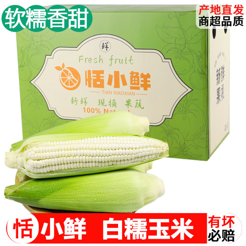 广西糯玉米恬小鲜现摘糯玉米