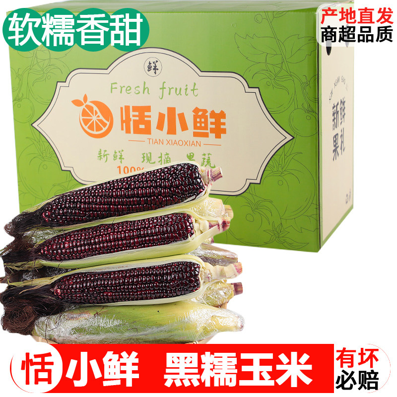 【恬小鲜】广西农家新鲜蔬菜生的富硒甜糯玉米现摘黏紫甜玉米9斤