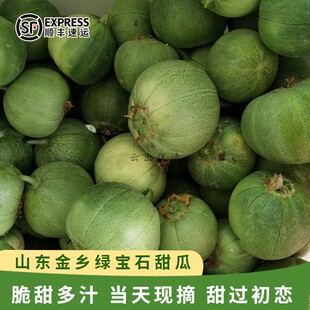 山东济宁正宗绿宝石2号甜瓜新鲜现摘绿宝甜瓜应季时令水果小香瓜