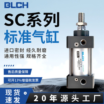 blch小型可调非标气缸定制