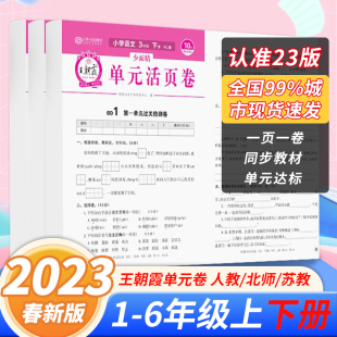 测试卷人教语文数学英语北师苏教期中摸底期末冲刺考试卷子 2023王朝霞试卷活页卷上下册小学一二三四五六年级语文数学英语单元