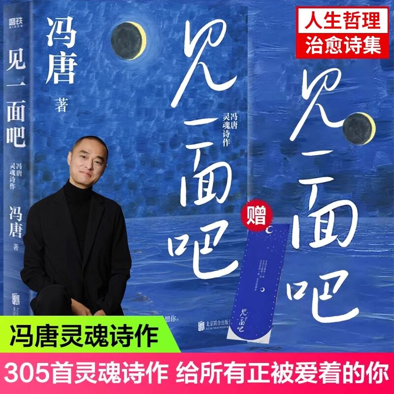 见一面吧冯唐新书全新灵魂诗作三行短诗现代文学散文随笔类书籍305首日常人间才情浪漫思念自我治愈诗集书畅销书籍排行榜推荐书目