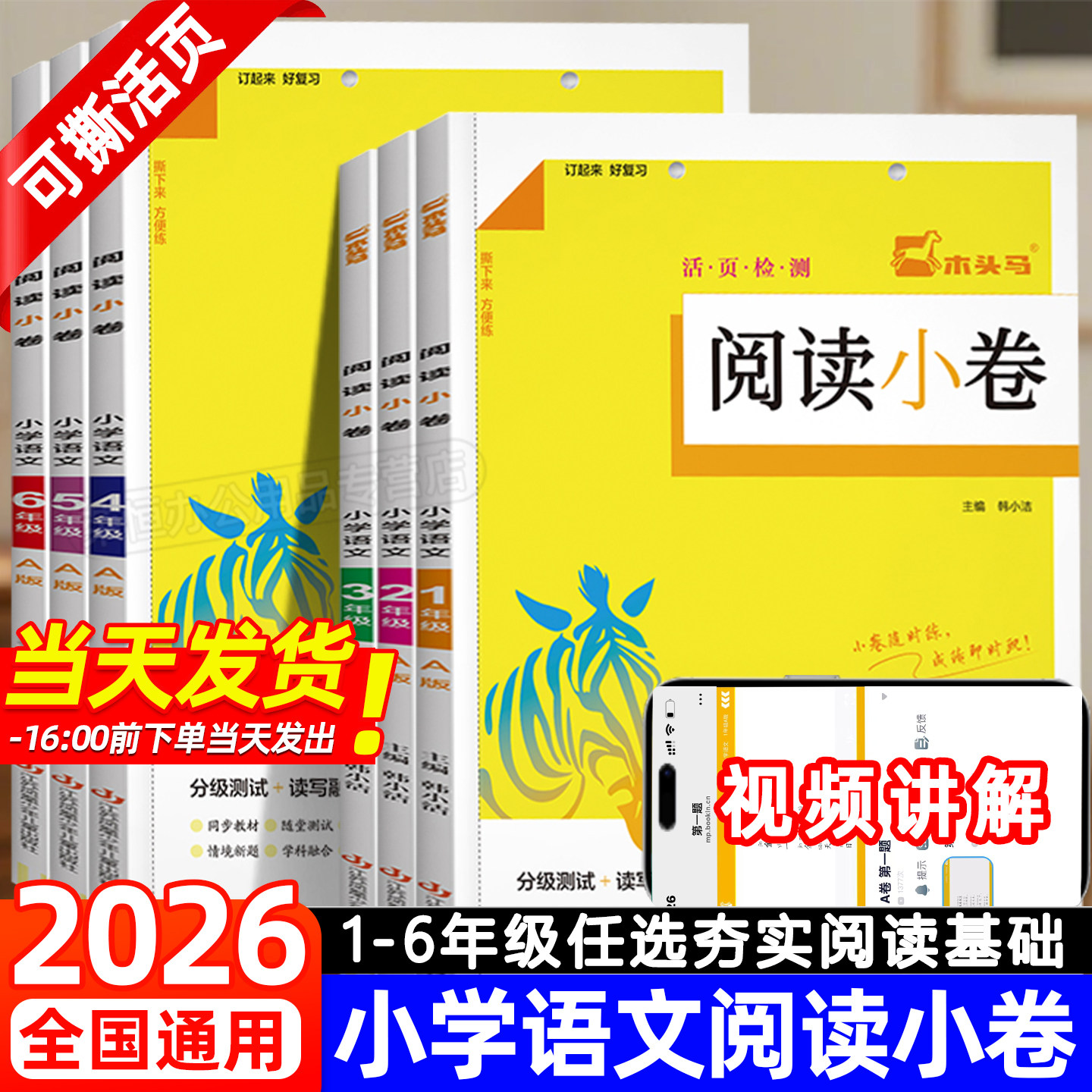 2026新版木头马阅读小卷小学语文AB版一二三四五六年级上册下册人教版活页检测强化训练题课外阅读理解专项训练书阅读力测评课课练 - 实物图
