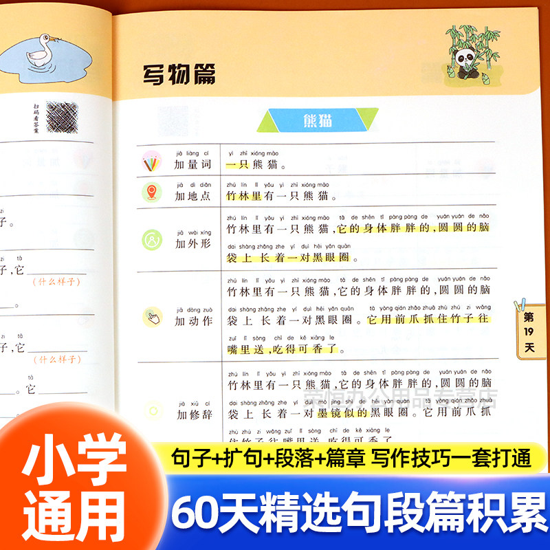 60天精选优美句段篇积累