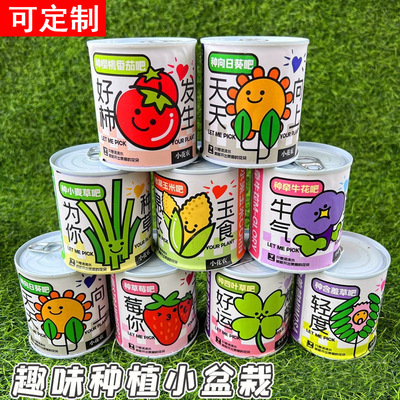 新年礼物卡通易拉罐盆栽室内迷你桌面小绿植儿童种植网红罐头