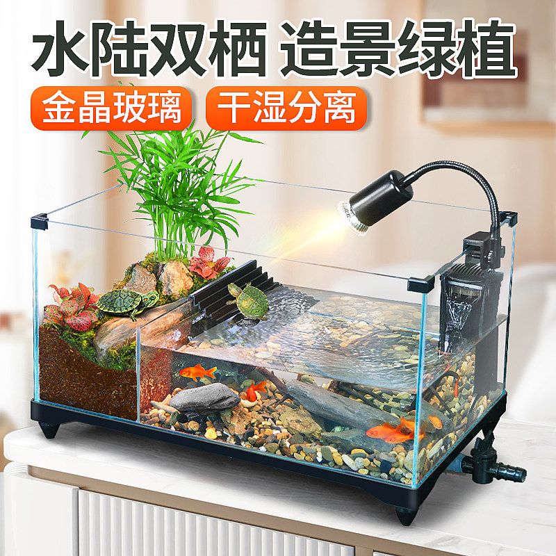 特立方生态水陆两栖乌龟缸混养缸图片
