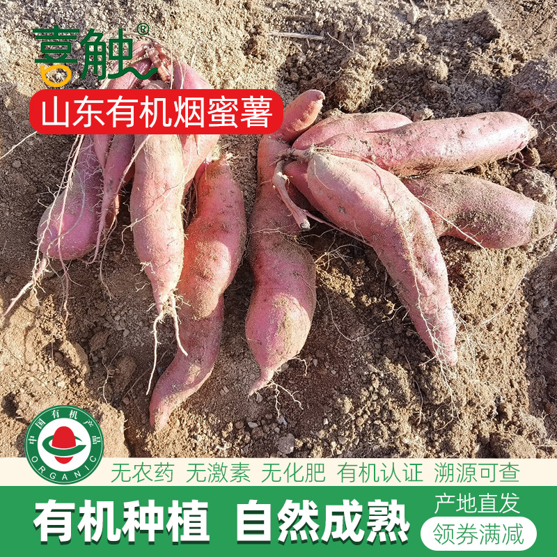 山东有机烟蜜薯红薯无农药黄心薯
