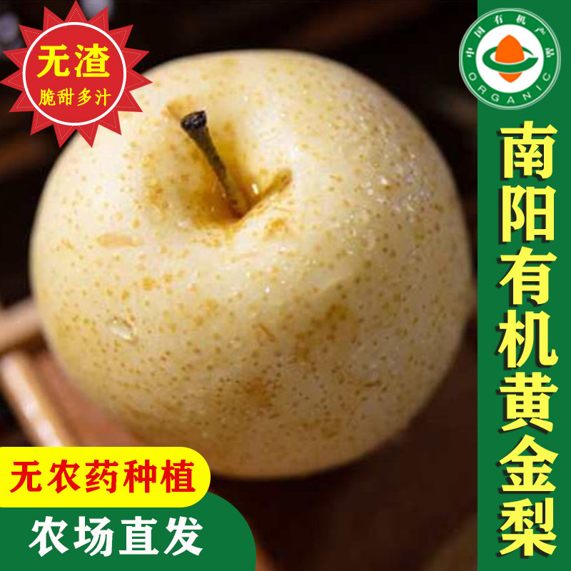 丽康有机黄金梨脆甜黄梨当季新鲜