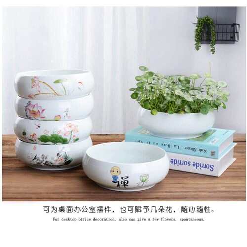 新型水培种生姜养禄根花盆专用容器陶瓷盘铜钱草睡莲碗莲绿植花盆