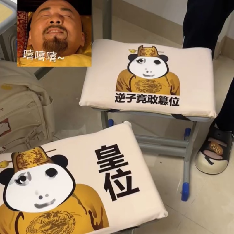 龙图坐垫学生教室板凳垫子加厚久坐防痛长方形皇位表情包秋冬屁垫
