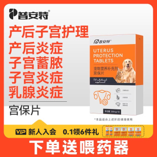 普安特宫保片母猫咪产后下奶护理宠物狗狗子宫蓄脓乳腺炎症排脓清