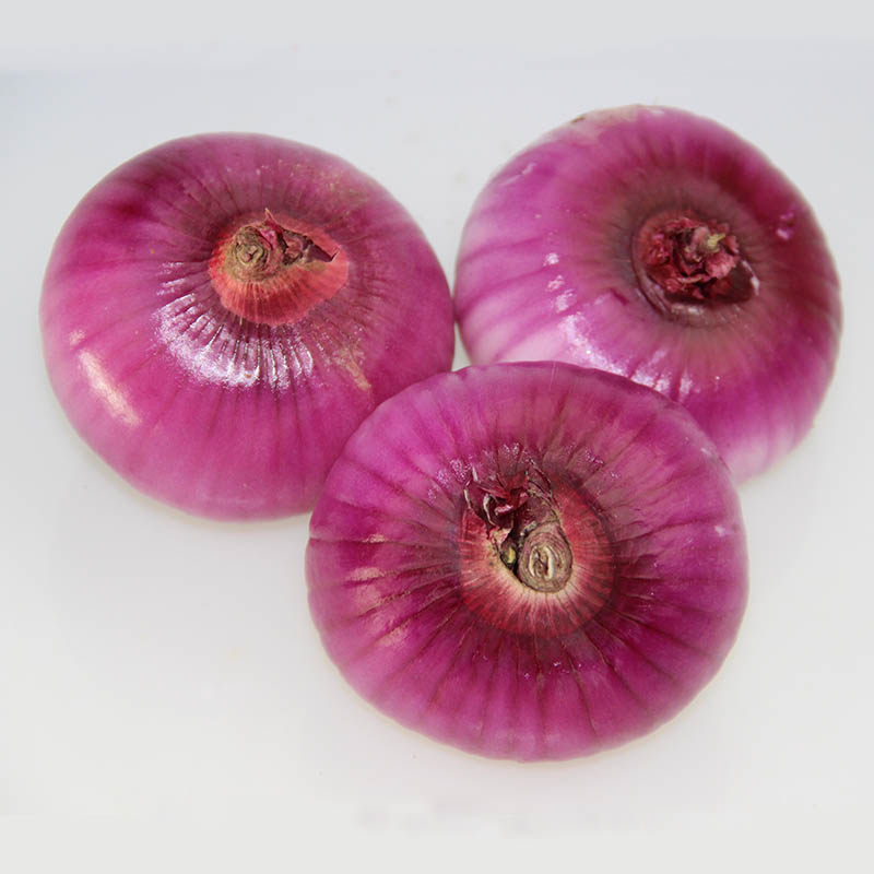 云南新鲜红皮洋葱紫皮圆葱洋葱头红头葱新鲜蔬菜5斤装包邮