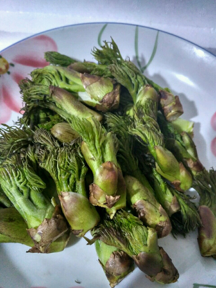 新鲜东北特产刺嫩芽山野菜带箱500克