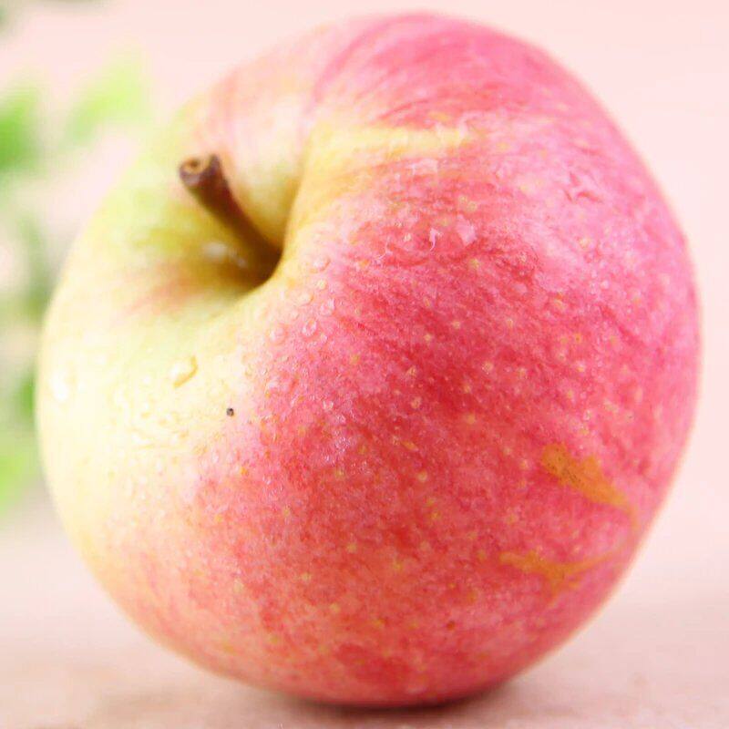 【现货】国光苹果正宗辽宁盖县小国光东北特产霜降果5斤包邮