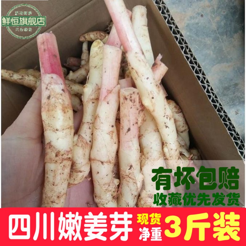 嫩姜仔姜生姜鲜姜新鲜四川嫩姜芽子姜新鲜泡菜姜醋泡姜3斤包邮