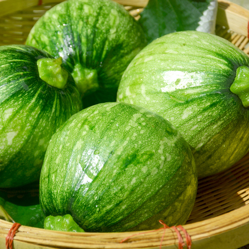 农家菜自种嫩南瓜绿皮迷你小南瓜仔青南瓜4斤装包邮