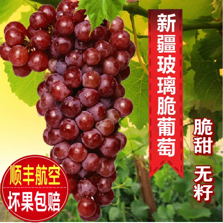 【新疆直发】4斤玻璃脆翠吐鲁番葡萄弗雷无籽红提无核新鲜水果