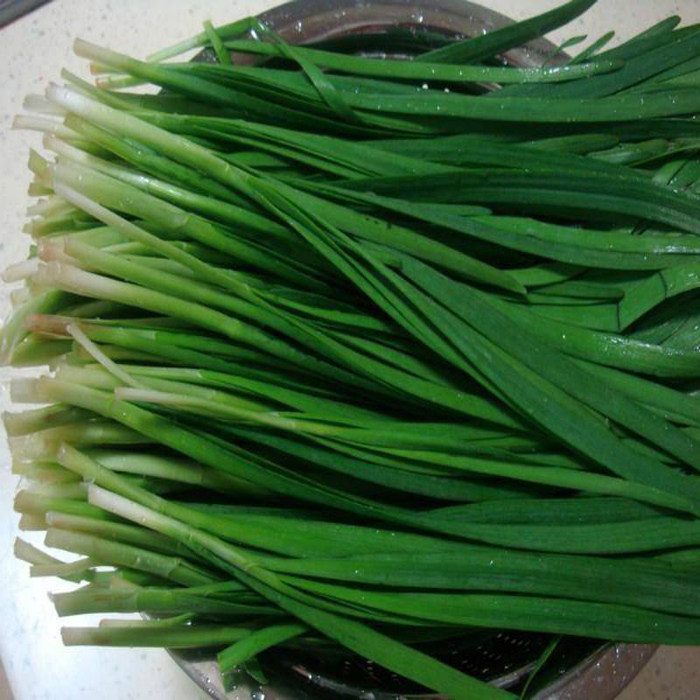 韭菜新鲜韭菜山东韭菜土韭菜新鲜蔬菜一份净重3斤包邮加冰袋发货