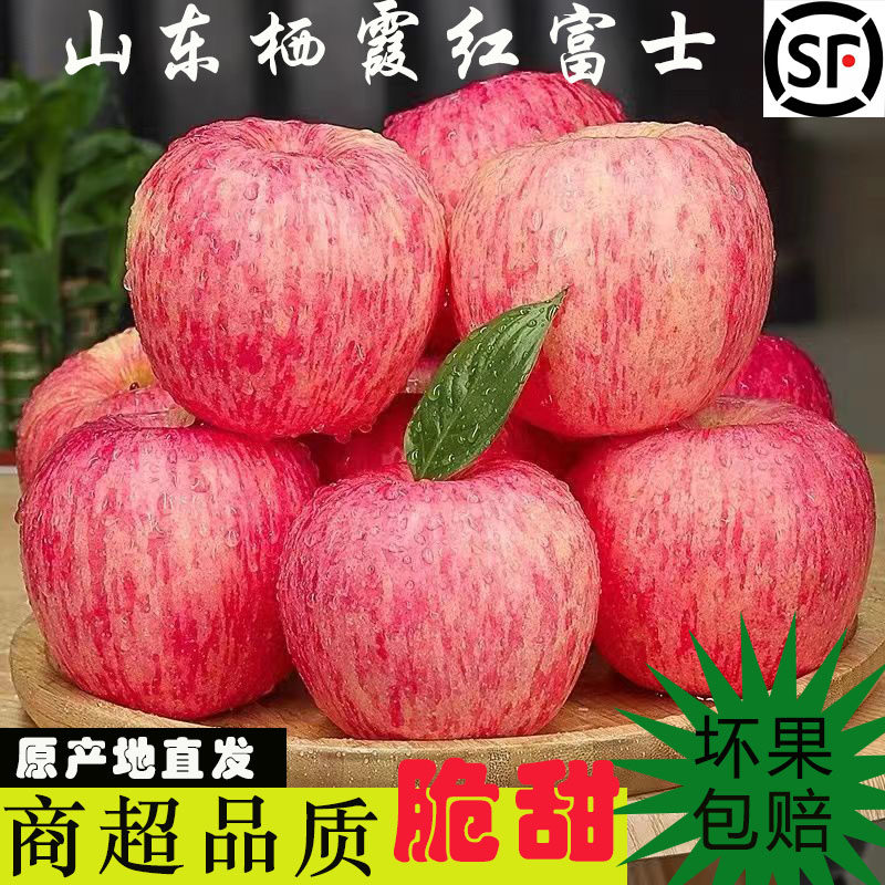 山东烟台红富士苹果当季现摘水果新鲜脆甜不打蜡带皮吃整箱