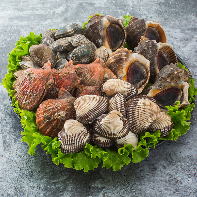 蛤蜊海螺毛蚶扇贝4斤 青岛鲜活海鲜水产贝类 大花甲文蛤花蛤超大