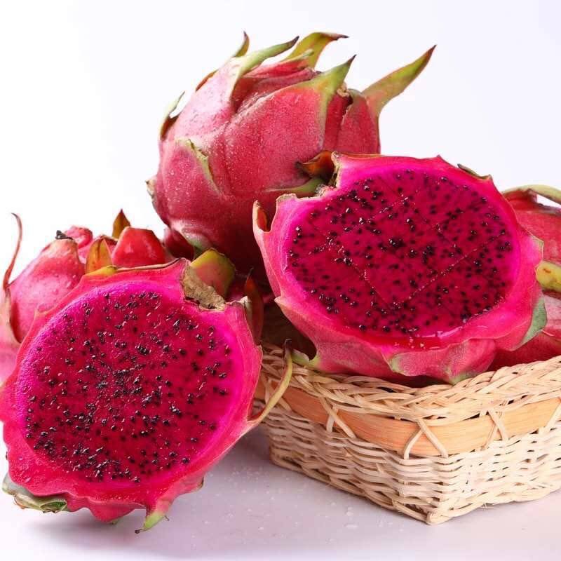 金都一号红心火龙果当季水果新鲜红肉5斤包邮大果非越南海南蜜宝