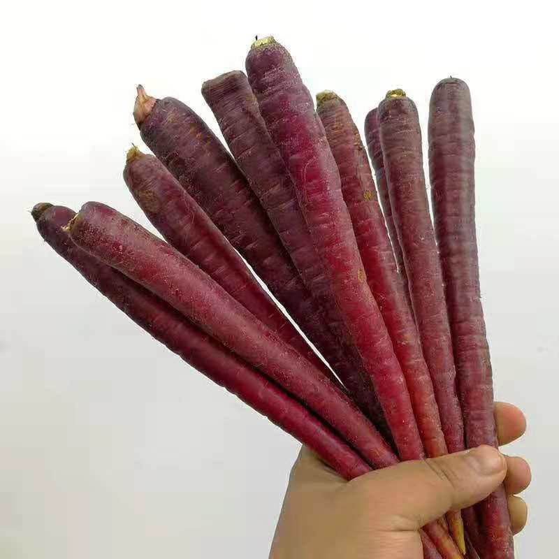 5斤云南品种特产农家新鲜胡萝卜山东种植水果紫胡萝卜零食孕妇吃