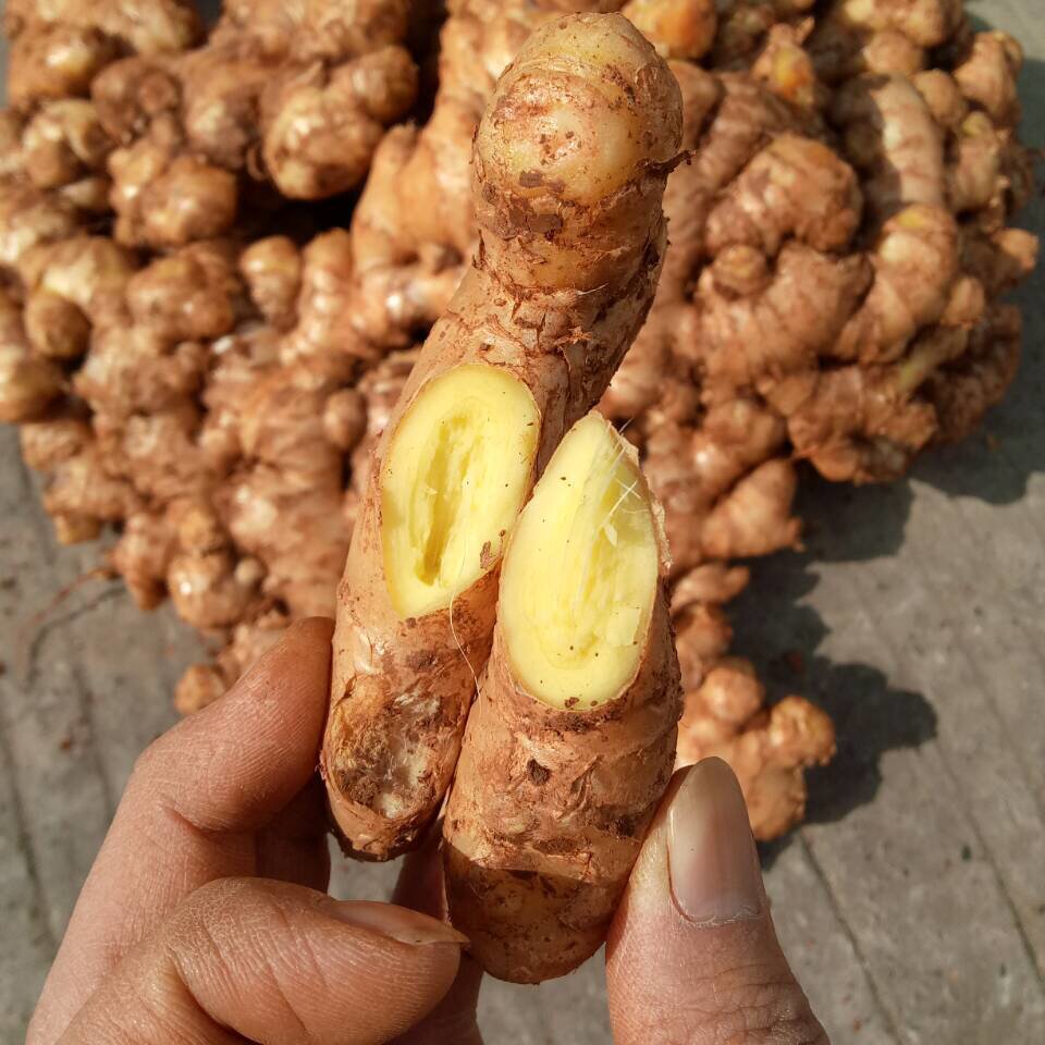 四川威远小黄姜农家新鲜带箱5斤