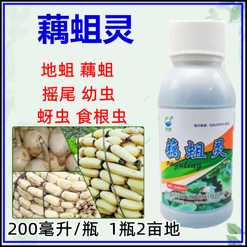 藕蛆灵藕塘杀虫不伤藕除地蛆藕蛆食根虫摇尾幼虫蚜虫莲藕塘