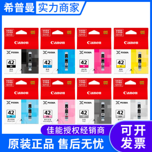 佳能42号墨盒 原装 LGY CLI pro100打印机