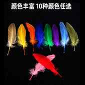 店铺满减 饰花草厨师用品工具 彩色羽毛创意盘饰 冷菜意境菜摆盘装