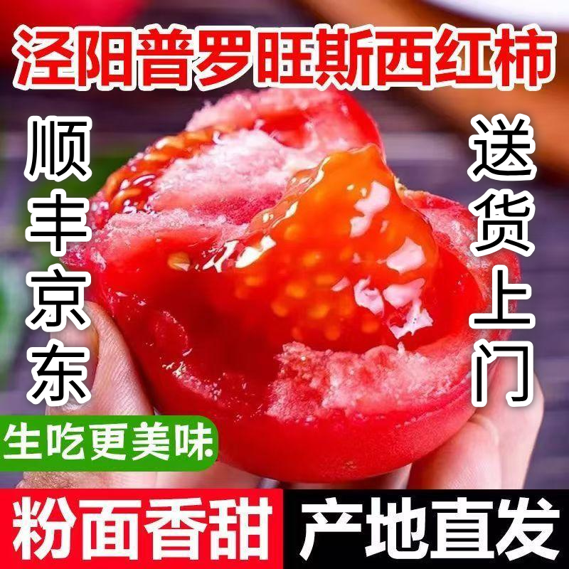2026现摘陕西泾阳普罗旺斯沙瓤番茄水果蔬菜自然产生现摘现发包邮