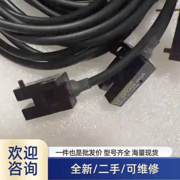 EE-SPX404-W2A，，实物如图。有10条共100